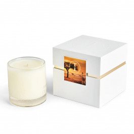 Cereria Molla Amber & Sandalwood Premium Candle