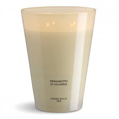 Cereria Molla - 21 oz Candle - Cypress & Mediterranean Pine