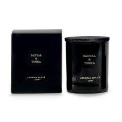 Cereria Molla - Santal & Tonka Votive Candle