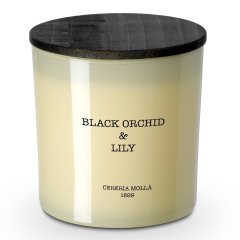 Cereria Molla Black Orchid & Lily 3 Wick Candle