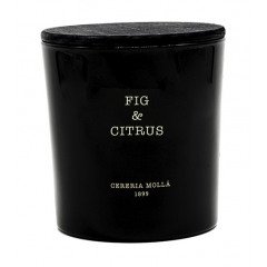 Cereria Molla - Fig & Citrus 3 Wick Candle