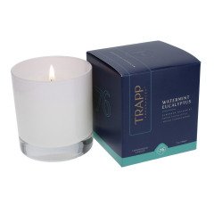 Trapp - Watermint Eucalyptus #76 Candle
