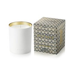 Apotheke - Cardamom Chestnut Candle