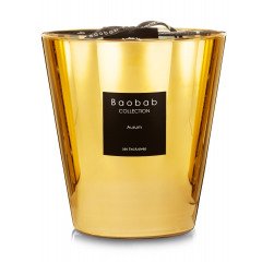 Baobab Collection - Aurum Max16 Candle
