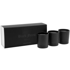 Archipelago Black Forest Votive Candle Gift Set