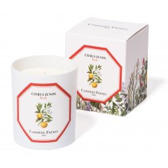 Carriere Freres - Yuzu (Citrus Junos) Candle