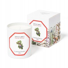 Carriere Freres Fig Tree (Ficus Carica) Candle