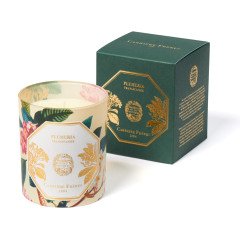 Carriere Freres - Frangipani Candle