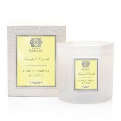 Antica Farmacista Lemon, Verbena & Cedar Candle