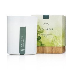 Thymes - Eucalyptus White Tea Candle