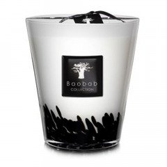 Baobab Feathers Max16 Candle