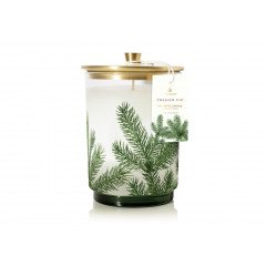 Thymes - Frasier Fir Heritage Pine Needle Medium Luminary Candle