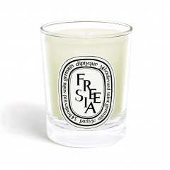 Thymes - Highland Frost Petite Diffuser