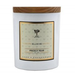 Joshua Tree Prickly Pear Luxe Candle
