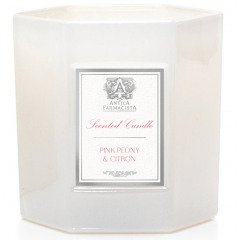 Antica Farmacista Pink Peony & Citron Candle