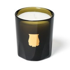 Cire Trudon Ernesto (Leather & Tobacco) Petite Candle