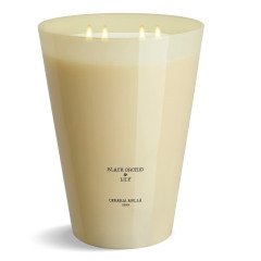 Cereria Molla Black Orchid & Lily 7 Wick Candle