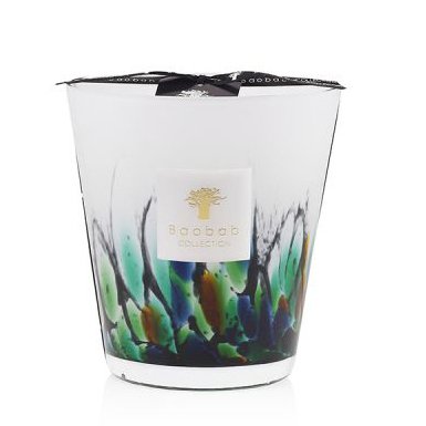 Rainforest Amazonia Max16 Candle